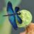 Cheryl Jones's profile image