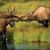 Debbie Pennington's profile image