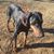 April Tidd's profile image
