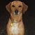Tomasita Tomi Jacubowitz's profile image