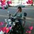 Ann Falletta's profile image