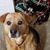 Anita Elsner's profile image