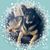 Cathy Fox's profile image