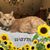 Mary Roberts's profile image