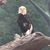 Mark McQuade's profile image