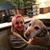 Jackie Tenore's profile image