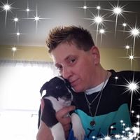 Shawn Holden's profile image