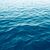 Sharon Eves's profile image