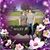 Danette Ogren Starr's profile image