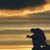Lucius Harwell's profile image