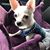 Elaine Halamik Rog's profile image