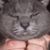 Mickey Smithe's profile image