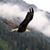 Brenda Thompson, LPC, LMFT's profile image