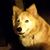 Regina Gina Sparrow Cardoza's profile image