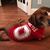 Lisa Wade Stephenson's profile image