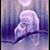 Terry Harris's profile image