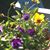 Rhonda Wilcox Stathers's profile image