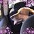 Cheri Fergerson's profile image