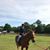 Carol Marie Malerich's profile image