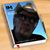 James Hafey's profile image
