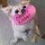 Mary Kay Sholaas's profile image