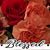 Amber Newcombe's profile image