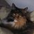 Lisa Groover's profile image