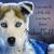 Anna Marie McMullen's profile image