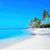 Cindy Blasingame Wooden's profile image