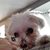 Dave Naeger's profile image