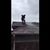 Hector Toledo Ruiz's profile image