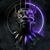 Robert Brisco's profile image