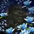 Kim Easley's profile image
