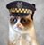 Tracy Lynne Schweitzer Malloy's profile image