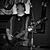Domenic DiSpaldo's profile image