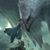 Gael Abel Gambino's profile image