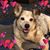 Jill Goddard's profile image