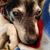 Peggy Gibbs-Gertner's profile image