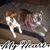 Lori Donahue's profile image