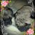 Rosemary Galpin's profile image