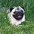 Lori Kingery's profile image
