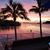 Vicki Cauthen's profile image