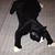 Angie Cureton's profile image