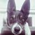Gisela Festerling's profile image