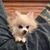 Christopher Demitras's profile image