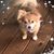 Malettia Colter's profile image
