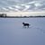 Lynn Lambrecht's profile image