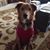 Chuck Warriner's profile image