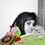 Hodan Jamac's profile image