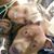 MeLinda Moore's profile image